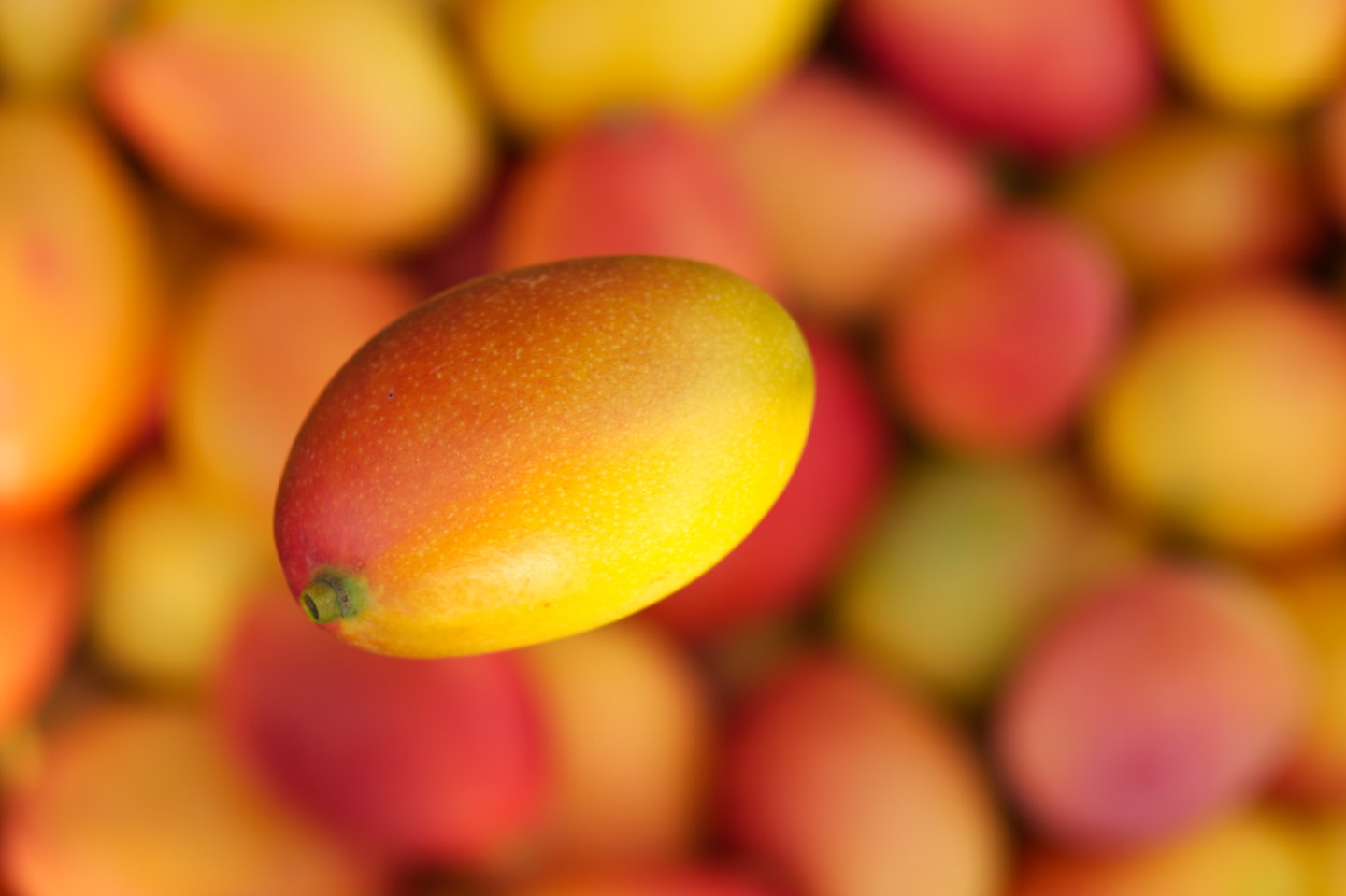 A importância de proteger a qualidade das frutas durante o transporte